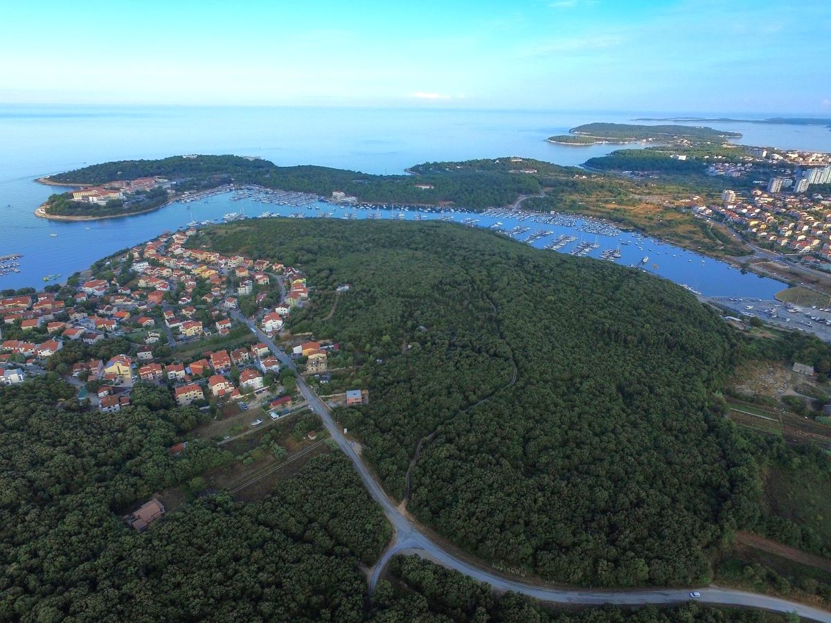 Nastavlja se izlučivanje divljači na području Pule